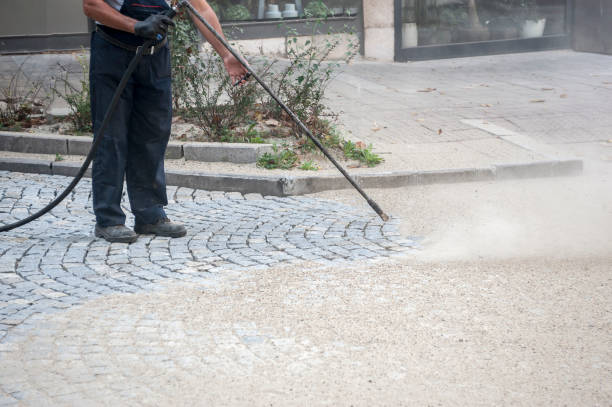 Best Gutter Cleaning  in Benavides, TX