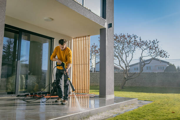 Best Driveway Pressure Washing  in Benavides, TX